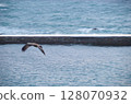 Wave to be thrown in the wave-block 128070932