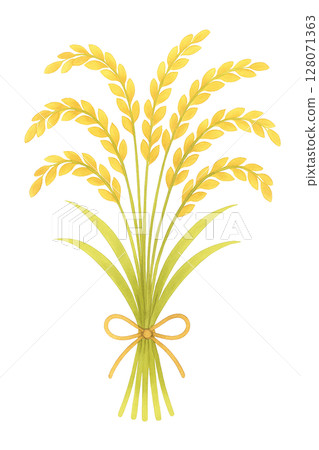 Golden rice bundles 128071363