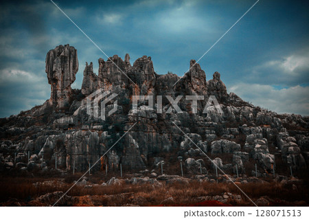 云南石林风景 128071513
