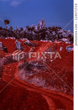 云南石林风景 云南石林风景 128071519