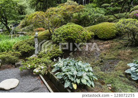 Kochoji Temple in June (Matsumoto City, Nagano Prefecture) 128072255