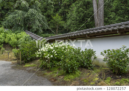 Kochoji Temple in June (Matsumoto City, Nagano Prefecture) Kochoji Temple in June (Matsumoto City, Nagano Prefecture) 128072257