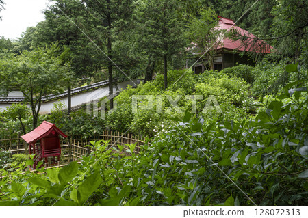 Kochoji Temple in June (Matsumoto City, Nagano Prefecture) 128072313