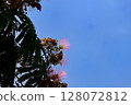 Nemunogi和藍天 128072812