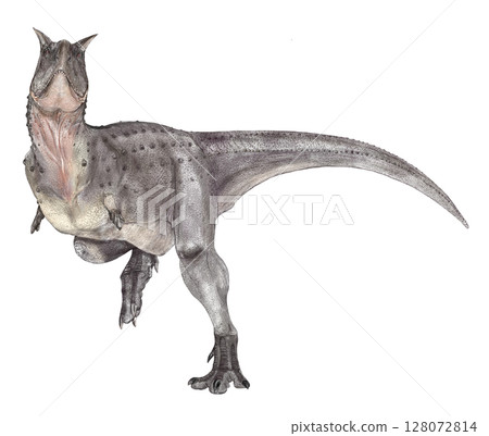 食肉牛龍:古代美洲的“肉食公牛” 食肉牛龍:古代美洲的“肉食公牛” 128072814