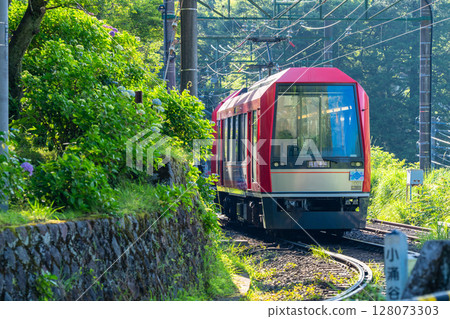 <神奈川縣> 紫陽花列車 / 箱根登山鐵道強羅站 128073303