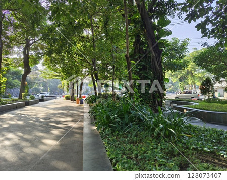 A shady outdoor green park with green trees and cool air in summer 128073407