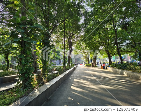 A shady outdoor green park with green trees and cool air in summer 128073409