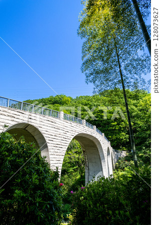 七澤森林公園：藍天映襯下閃耀的森林橋（神奈川縣厚木市） 128073627