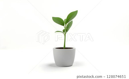 Green plant in pot isolated on white background. 3D illustration 128074651