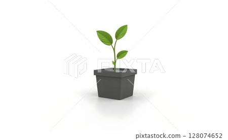Plant in pot isolated on white background. 3D rendering 128074652