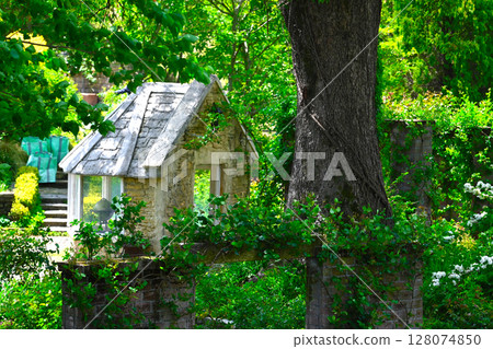 Scenery of ACAO FOREST 128074850