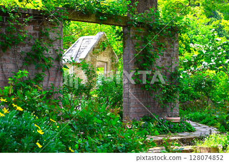 Scenery of ACAO FOREST 128074852