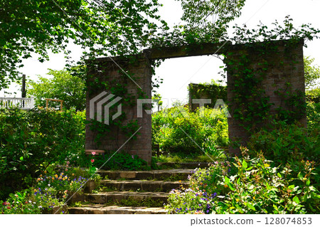 ACAO森林的風景 ACAO森林的風景 128074853