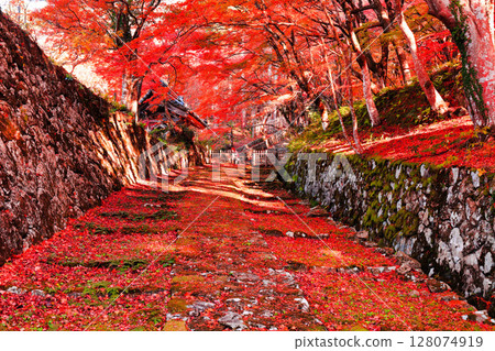 [滋賀縣]晴天的百濟寺參道和紅葉 128074919