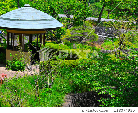 ACAO森林的風景 ACAO森林的風景 128074939