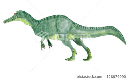 Dinosaur Siamosaurus, a spinosaur named "the lizard of the Kingdom of Siam (present-day Thailand)" 128074990