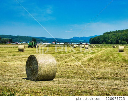 Early summer landscape 128075723