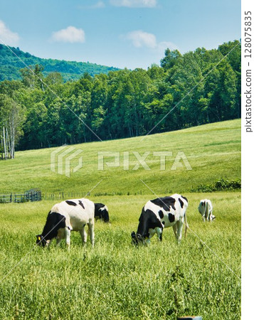 初夏景觀 128075835