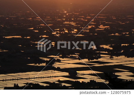 Sunset reflected in the rice paddies 128075975