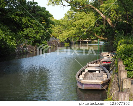 柳川水道上排列著傳統的河船，初夏的綠意盎然 128077502