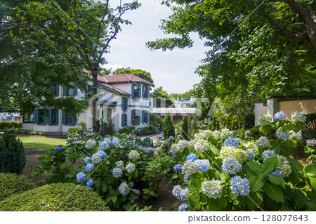Summer in the Italian Mountain Garden 128077643