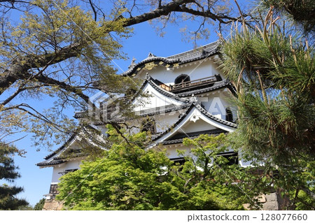 Hikone Castle, Hikone City, Shiga Prefecture 128077660