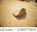 [Tottori] Tottori Sand Dunes: Sand chunks on the ground (Tottori City) 128077803