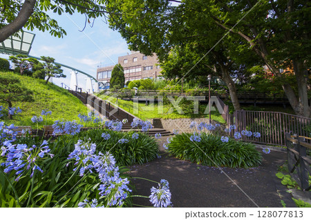港三輪岡公園的夏天 港三輪岡公園的夏天 128077813