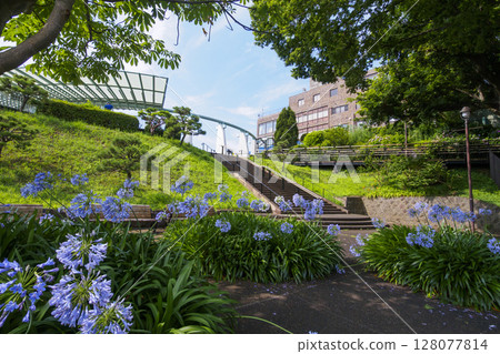 港三輪岡公園的夏天 128077814