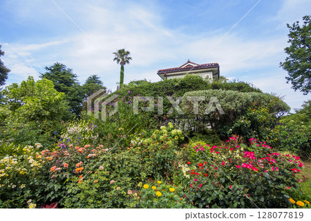 港三輪岡公園的夏天 港三輪岡公園的夏天 128077819