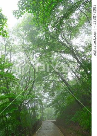 晨霧中的南漢山城登山路 [韓國/京畿道] 128078092