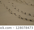 [Tottori] Tottori Sand Dunes: Footprints left on the sand (Tottori City) 128078473