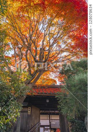 Autumn in Kyoto: Kinpukuji Temple's mountain gate surrounded by autumn leaves 128078634