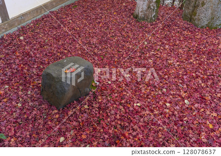 Autumn in Kyoto: Kinpukuji Temple, a beautiful garden with autumn leaves 128078637