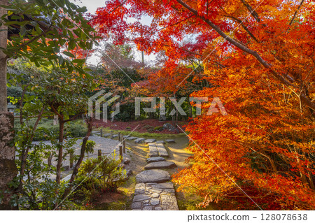 Autumn in Kyoto: Kinpukuji Temple: Dry landscape garden surrounded by autumn leaves Autumn in Kyoto: Kinpukuji Temple: Dry landscape garden surrounded by autumn leaves 128078638