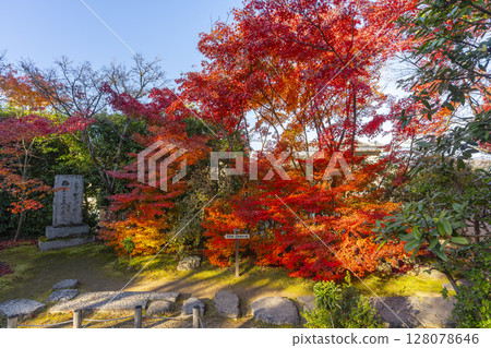 Autumn in Kyoto: Kinpukuji Temple: Dry landscape garden surrounded by autumn leaves 128078646