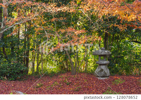 Autumn in Kyoto: Kinpukuji Temple, a beautiful garden with autumn leaves Autumn in Kyoto: Kinpukuji Temple, a beautiful garden with autumn leaves 128078652