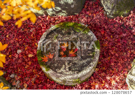 Autumn in Kyoto: Konpukuji Temple's Tsukubai of Contentment Autumn in Kyoto: Konpukuji Temple's Tsukubai of Contentment 128078657