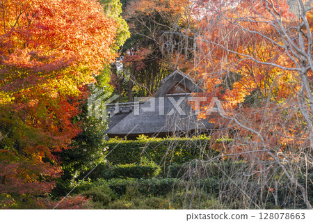 Autumn in Kyoto, Kinpukuji Temple: Bashoan can be seen from the beautiful autumn foliage in the garden 128078663