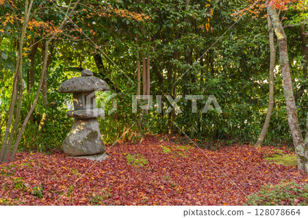 Autumn in Kyoto: Kinpukuji Temple, a beautiful garden with autumn leaves 128078664