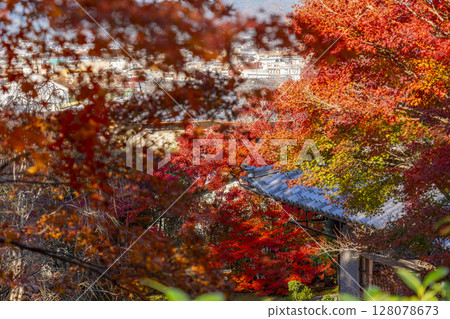 Autumn in Kyoto: Kinpukuji Temple, Zanshotei and dry landscape garden 128078673