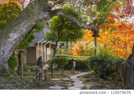 Autumn in Kyoto: Bashoan and garden at Kinpukuji Temple 128078676