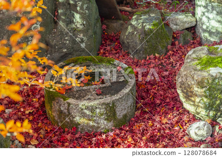 京都的秋天、金福寺、紅葉和令人心滿意足的築梅 京都的秋天、金福寺、紅葉和令人心滿意足的築梅 128078684