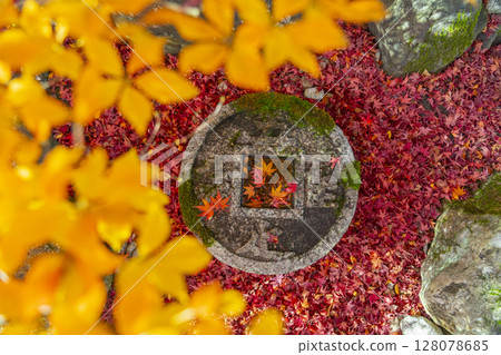 京都的秋天、金福寺、紅葉和令人心滿意足的築梅 128078685