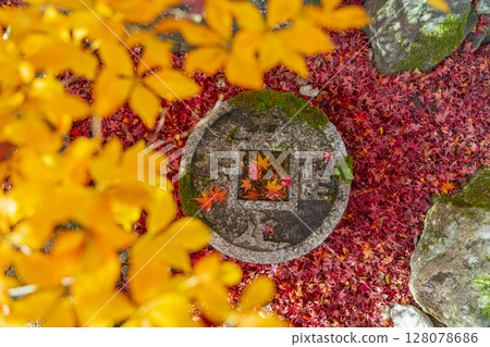 京都的秋天、金福寺、紅葉和令人心滿意足的築梅 京都的秋天、金福寺、紅葉和令人心滿意足的築梅 128078686