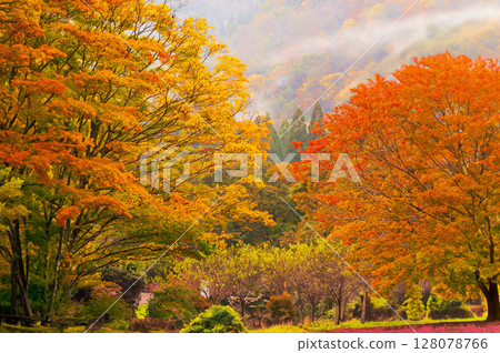 秋田縣抱回溪谷的秋景 128078766