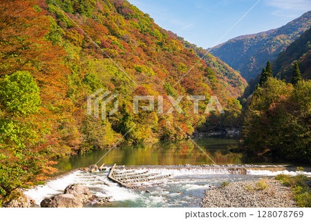 Autumn scenery of Dakigaeri Valley in Akita Prefecture Autumn scenery of Dakigaeri Valley in Akita Prefecture 128078769