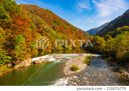 秋田縣抱回溪谷的秋景 秋田縣抱回溪谷的秋景 128078770