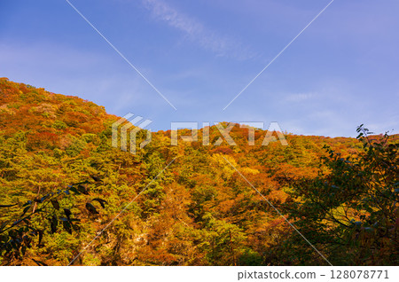秋田縣抱回溪谷的秋景 秋田縣抱回溪谷的秋景 128078771